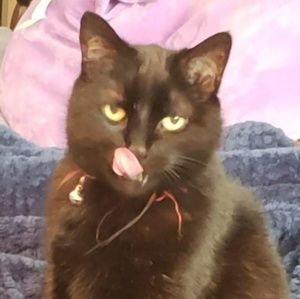 Meet your Posher, Danny